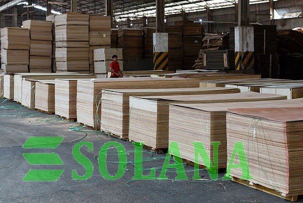 BIRCH PLYWOOD FACTORY