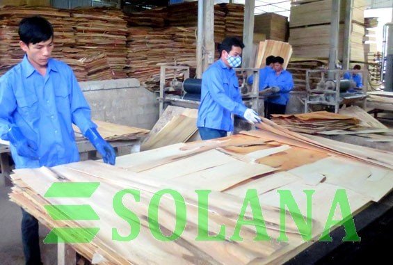 PACKING PLYWOOD FACTORY 